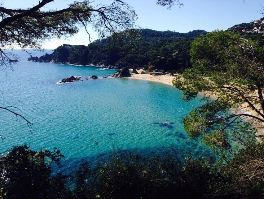 Appartements Les Pesquiers 2 Hyeres Plage المظهر الخارجي الصورة
